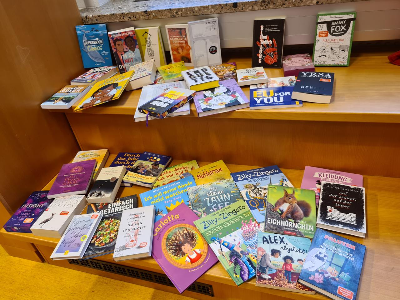 Foto Neuzugänge 2024